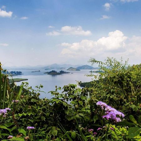 Chameleon Hill Forest Lodge Bwindi ภายนอก รูปภาพ