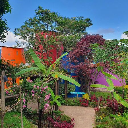 Chameleon Hill Forest Lodge Bwindi ภายนอก รูปภาพ