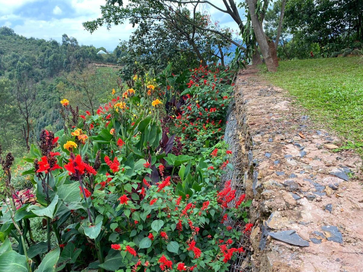 Chameleon Hill Forest Lodge Bwindi ภายนอก รูปภาพ