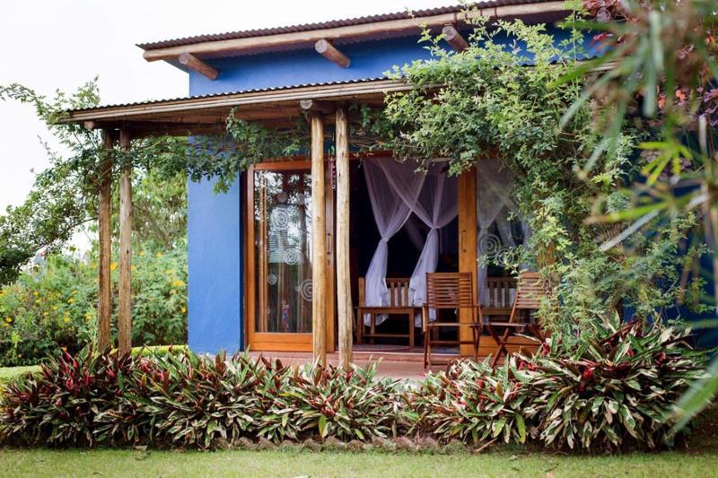 Chameleon Hill Forest Lodge Bwindi ภายนอก รูปภาพ