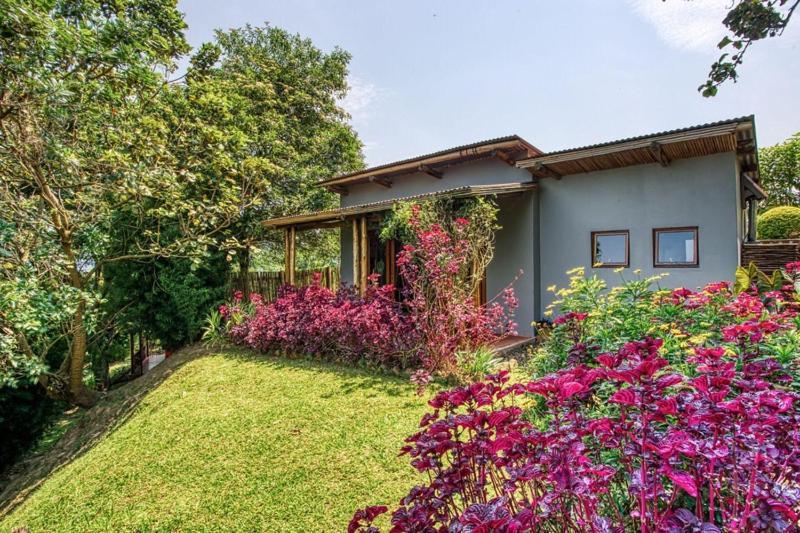 Chameleon Hill Forest Lodge Bwindi ภายนอก รูปภาพ