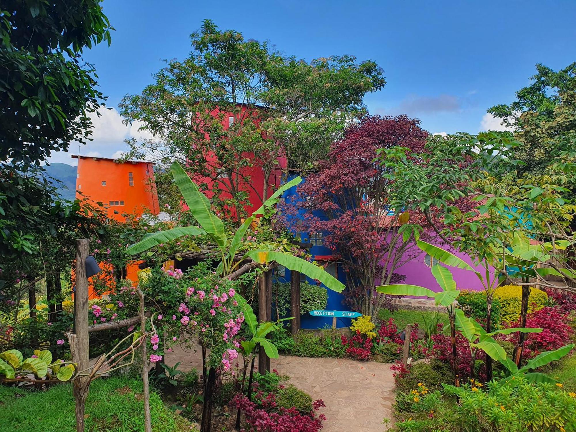 Chameleon Hill Forest Lodge Bwindi ภายนอก รูปภาพ